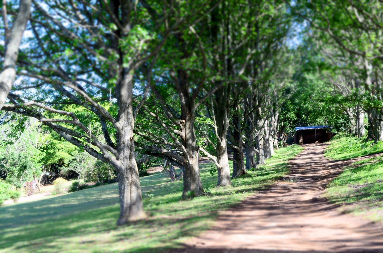 Phezulu Safari Park Villa Botha's Hill Exterior photo